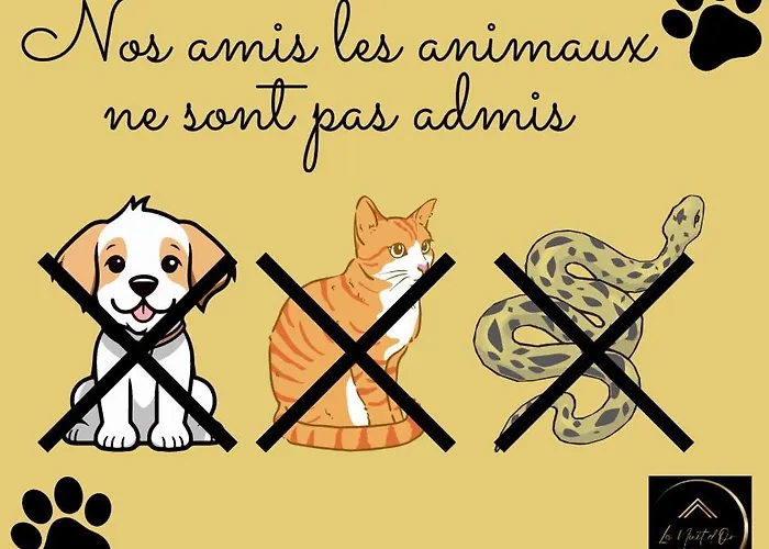 La Parenthese Choletaise - Serenite En Centre-ville Apartment Cholet